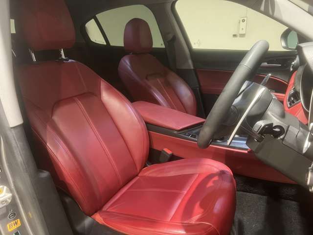 ALFA ROMEO STELVIO 2019-04 16901-9