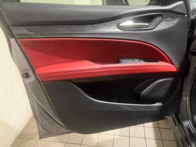 ALFA ROMEO STELVIO 2019-04 16901-12