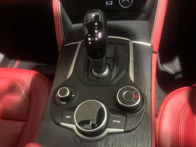 ALFA ROMEO STELVIO 2019-04 16901-18