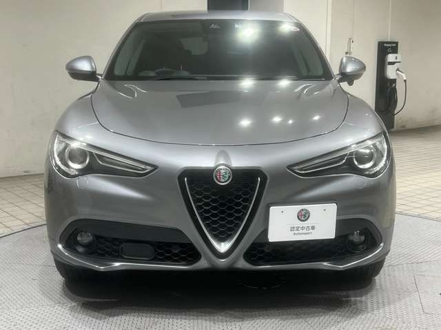 ALFA ROMEO STELVIO 2019-04 16901-1