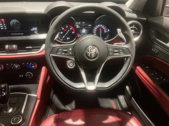 ALFA ROMEO STELVIO 2019-04 16901-13