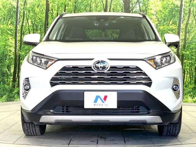 Toyota RAV4 2019-05 10706-14