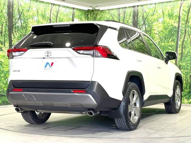 Toyota RAV4 2019-05 10706-17