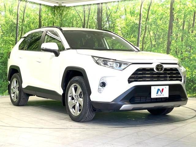 Toyota RAV4 2019-05 10706-16