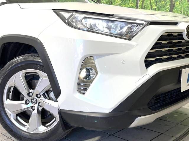 Toyota RAV4 2019-05 10706-12