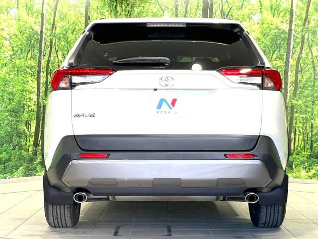 Toyota RAV4 2019-05 10706-15