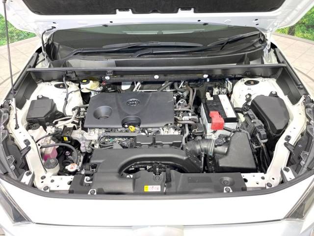 Toyota RAV4 2019-05 10706-18