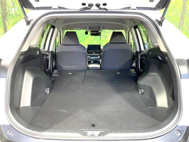 Toyota RAV4 2019-05 10706-11