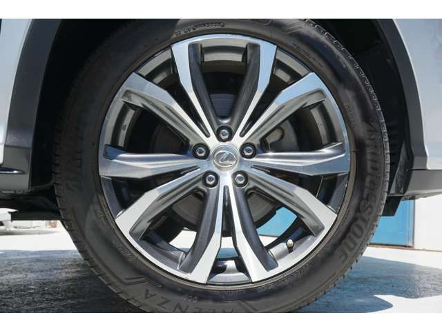 Lexus RX 2015-10 5404-18