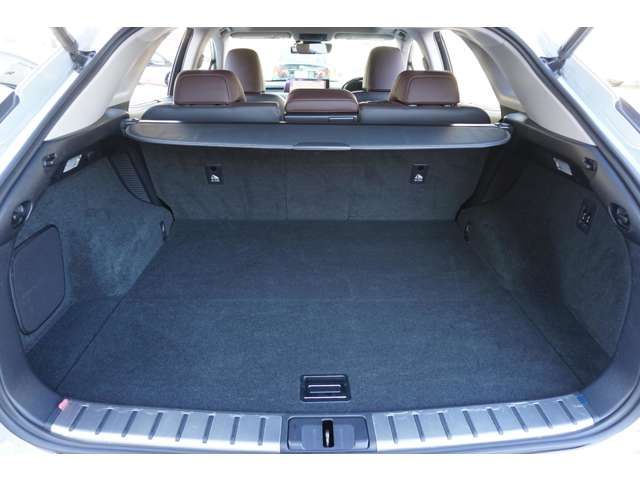 Lexus RX 2015-10 5404-17