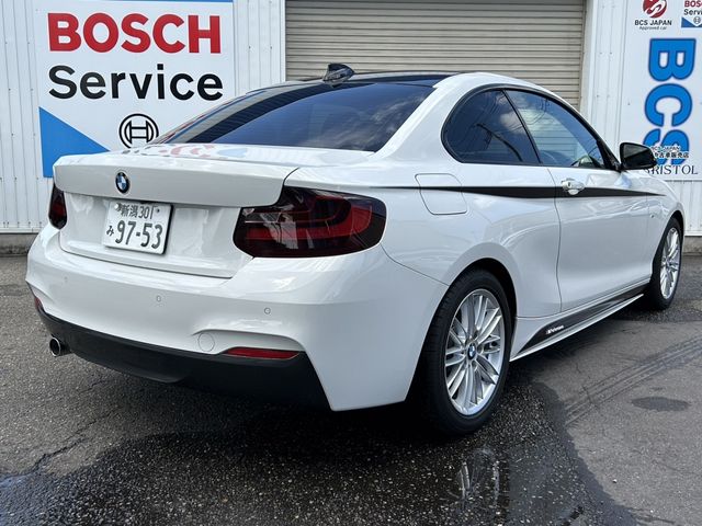 Bmw 2 SERIES 2017-01 3036-5