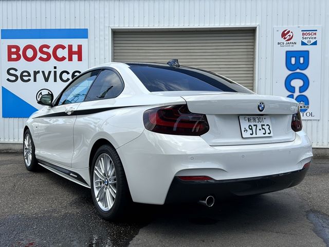 Bmw 2 SERIES 2017-01 3036-3
