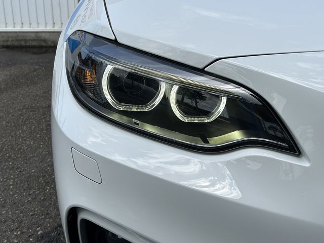 Bmw 2 SERIES 2017-01 3036-9