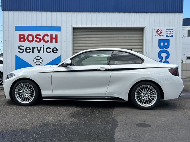 Bmw 2 SERIES 2017-01 3036-2