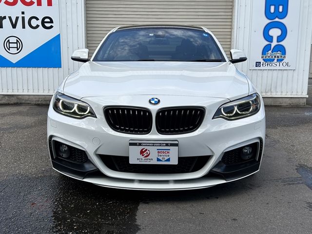 Bmw 2 SERIES 2017-01 3036-8