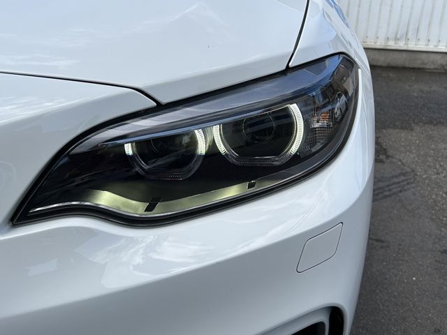 Bmw 2 SERIES 2017-01 3036-10