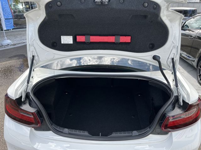 Bmw 2 SERIES 2017-01 3036-16
