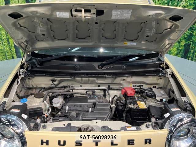 Suzuki HUSTLER 2018-11 361565-17