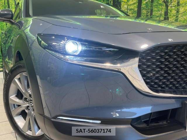 Mazda CX-30 2022-03 295602-12