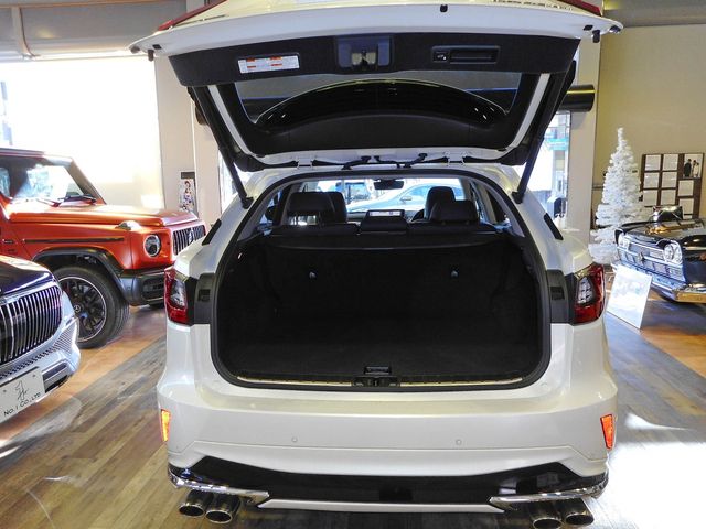 Lexus RX 2018-12 196695-22