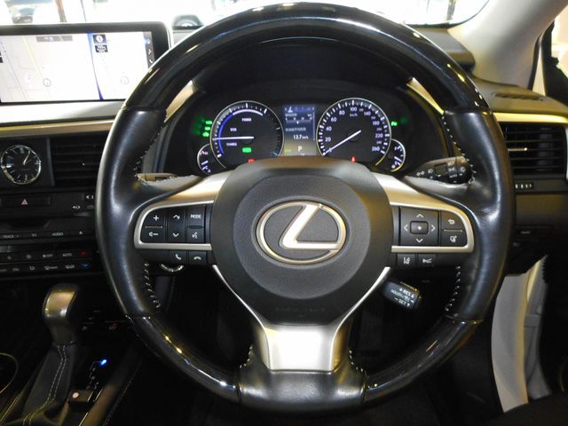 Lexus RX 2018-12 196695-13
