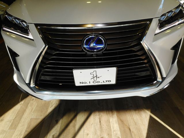 Lexus RX 2018-12 196695-24