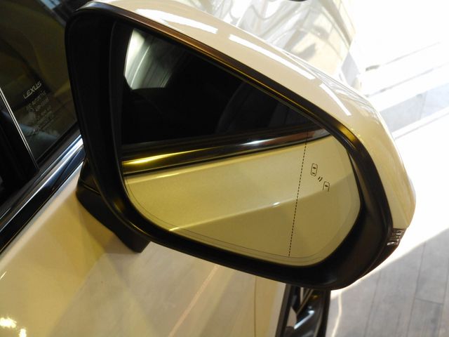 Lexus RX 2018-12 196695-17