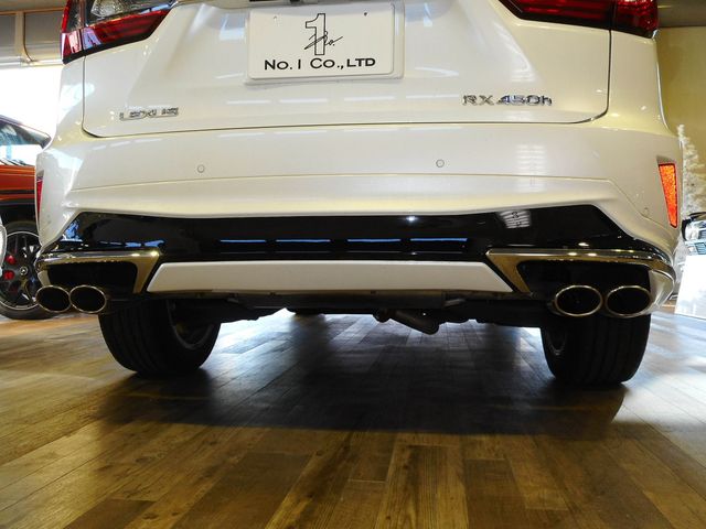 Lexus RX 2018-12 196695-26