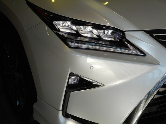 Lexus RX 2018-12 196695-28