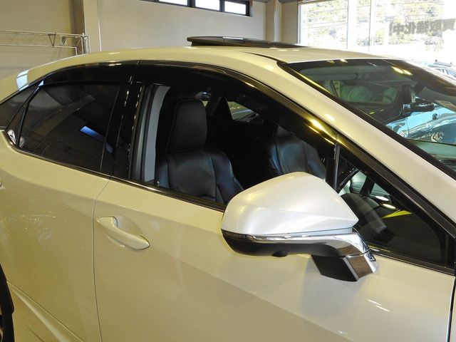 Lexus RX 2018-12 196695-16