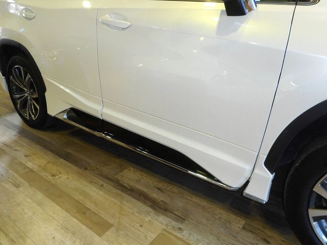 Lexus RX 2018-12 196695-25