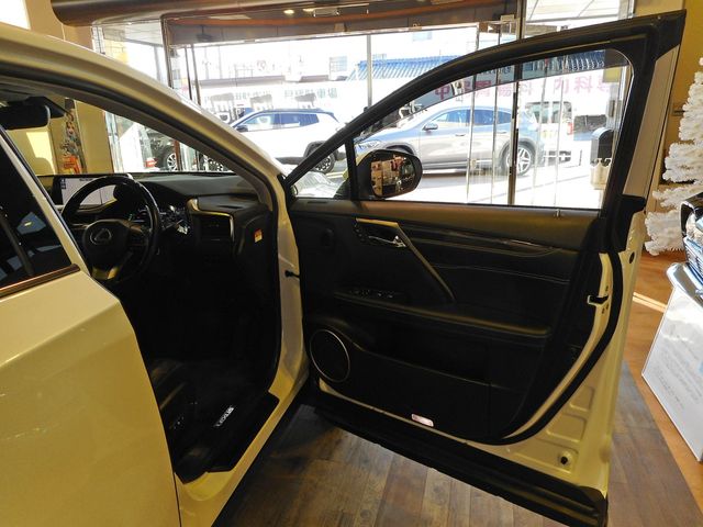 Lexus RX 2018-12 196695-18