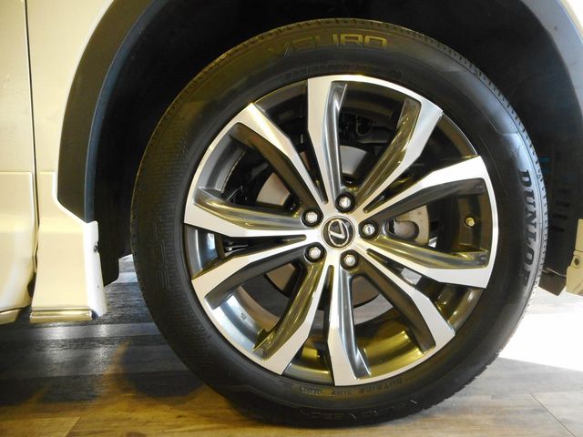 Lexus RX 2018-12 196695-27