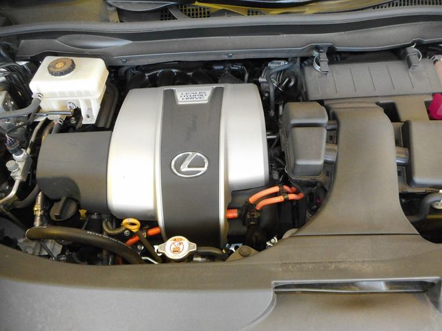 Lexus RX 2018-12 196695-29