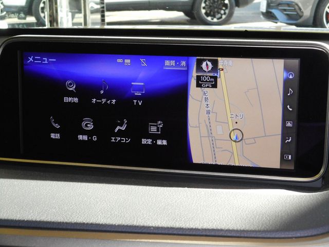 Lexus RX 2018-12 196695-9