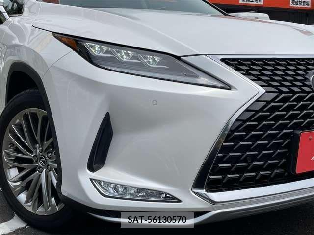 Lexus RX 2022-04 334578-13