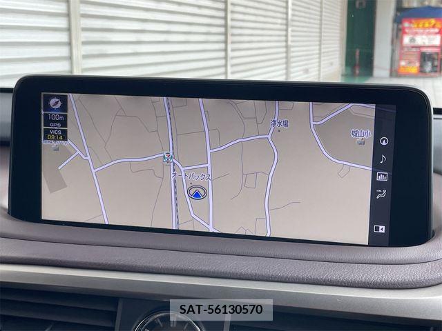 Lexus RX 2022-04 334578-27