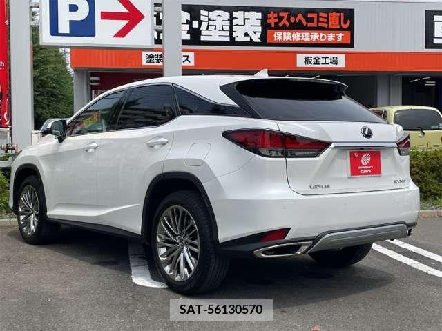 Lexus RX 2022-04 334578-19