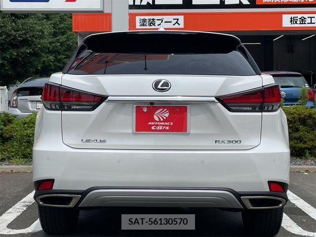 Lexus RX 2022-04 334578-18