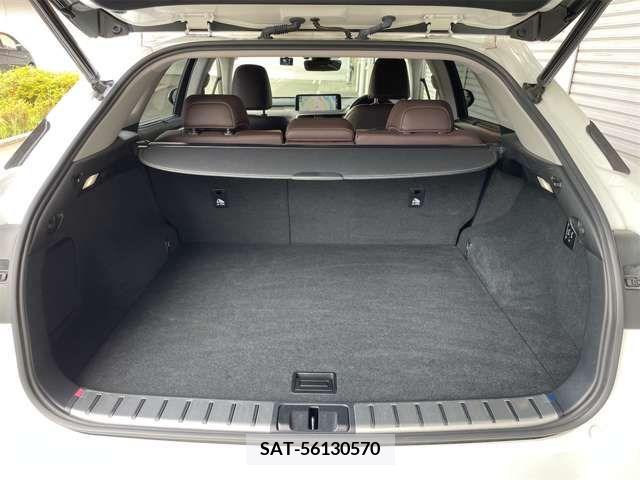 Lexus RX 2022-04 334578-17