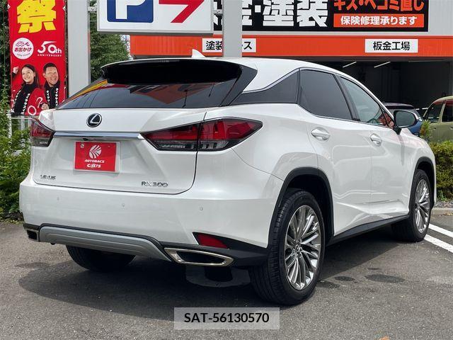 Lexus RX 2022-04 334578-2