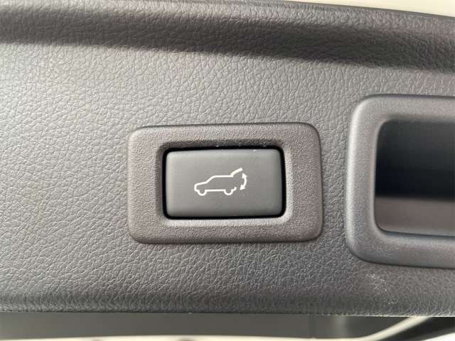 Subaru FORESTER 2017-06 195899-10