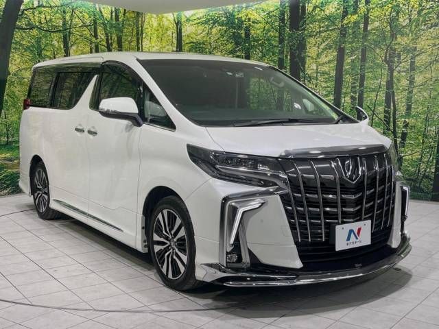 Toyota ALPHARD 2021-02 182002-16