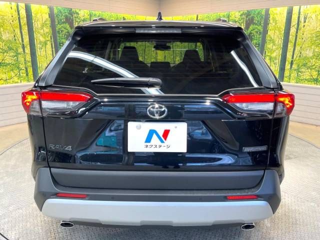 Toyota RAV4 2021-09 194213-16