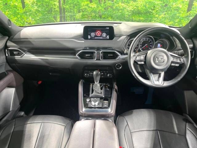 Mazda CX-8 2019-06 182687-1