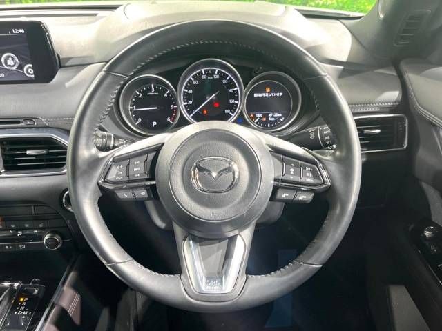 Mazda CX-8 2019-06 182687-11