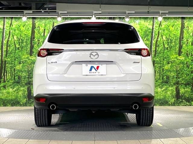 Mazda CX-8 2019-06 182687-15