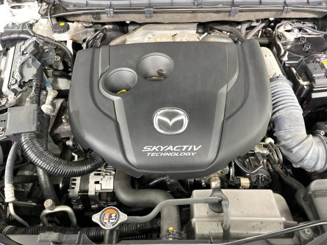 Mazda CX-8 2019-06 182687-18