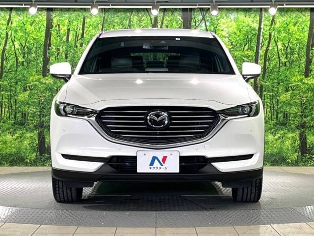 Mazda CX-8 2019-06 182687-14