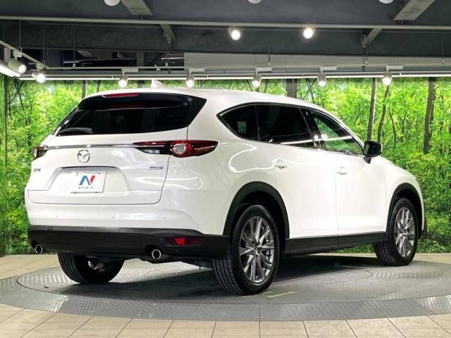 Mazda CX-8 2019-06 182687-17